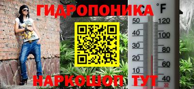 шишки Кулебаки