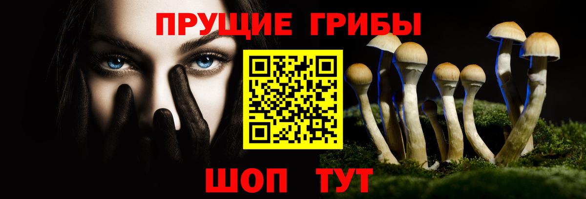 Алапаевск  Псилоцибиновые грибы мухоморы  Вход с VPN 